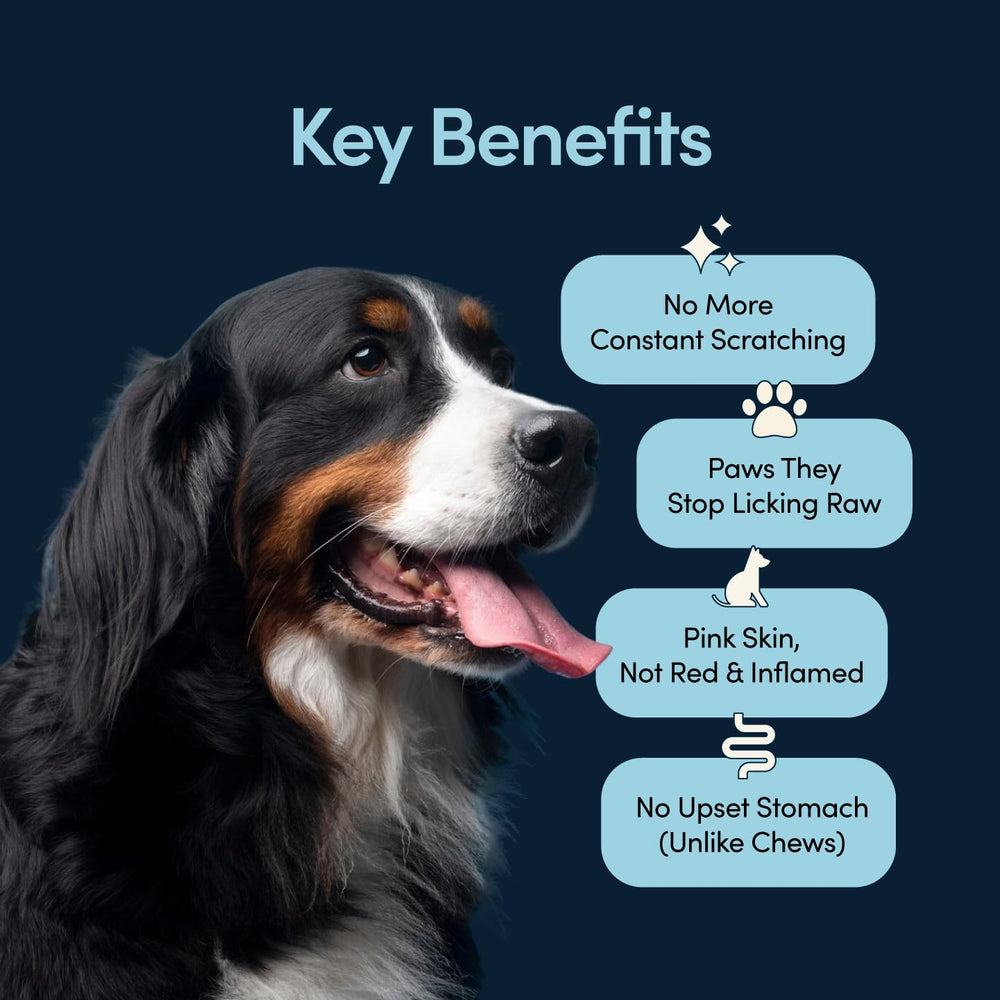 Fifth & Fido Scratch Buddy spirulina image illustrating histamine regulation.