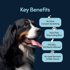 Fifth & Fido Scratch Buddy spirulina image illustrating histamine regulation.