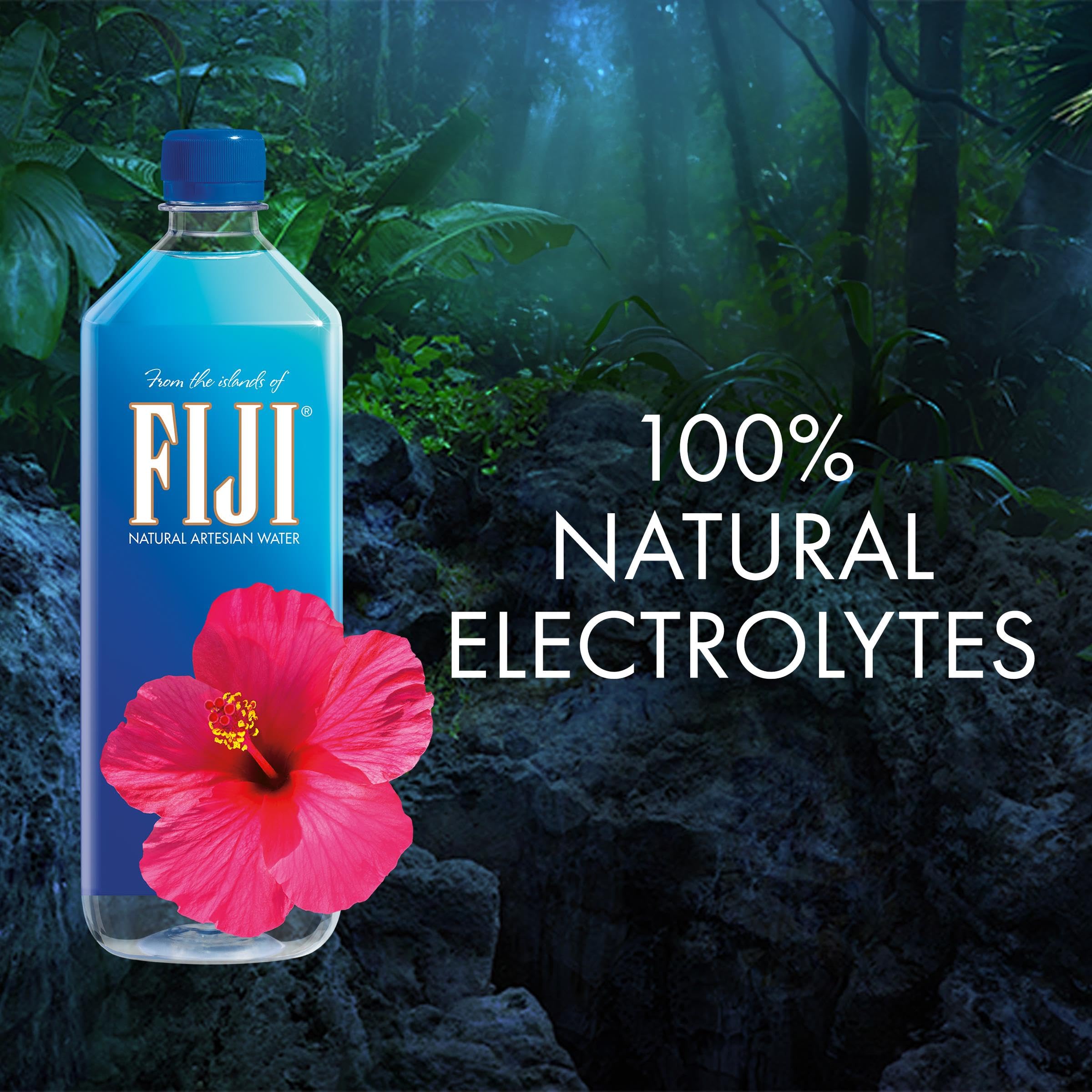 FIJI Water case-pack image showcasing convenient 12-bottle bundle for households and journeys.