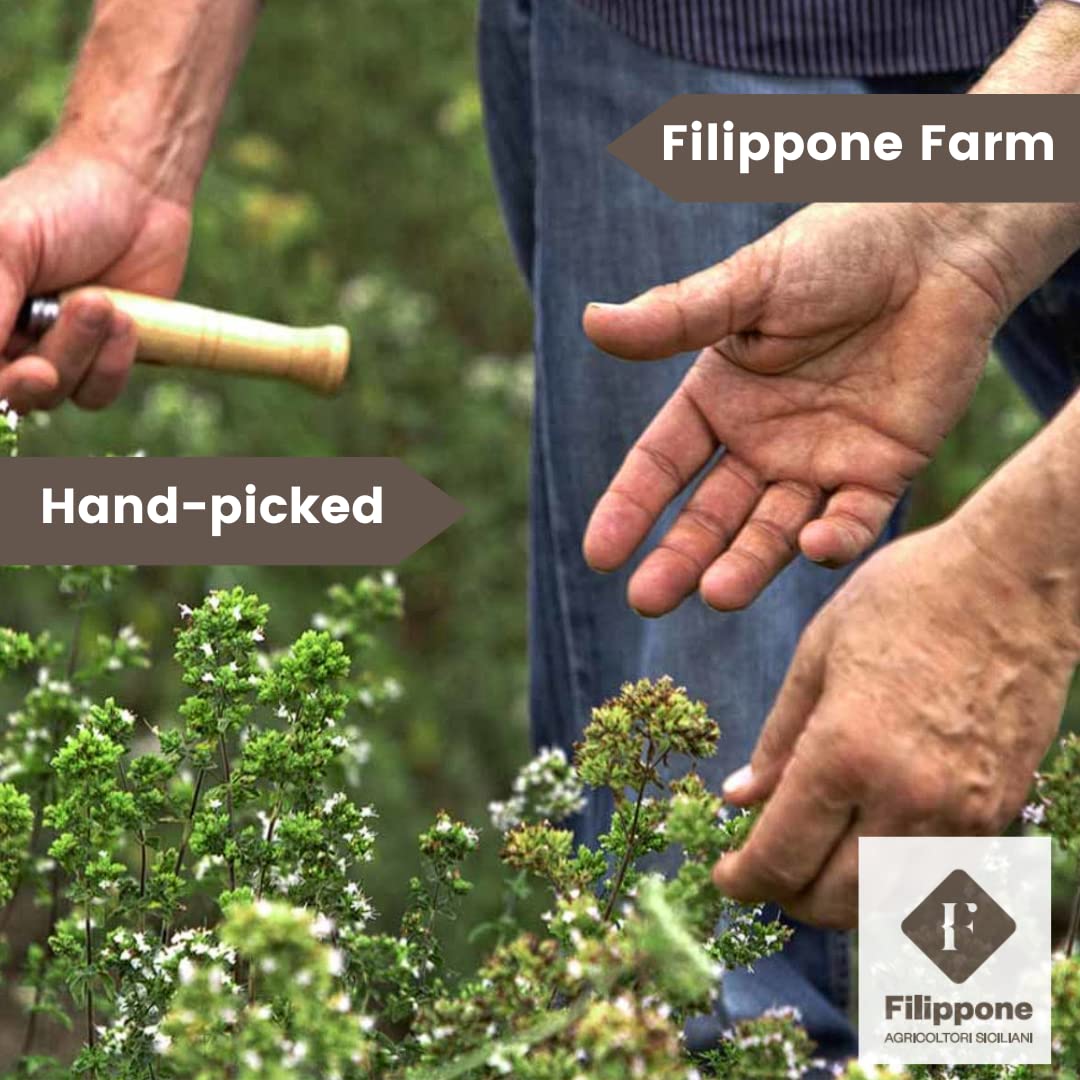 Filippone lavender for baking enhances desserts with delicate floral notes.