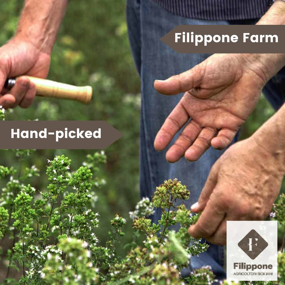 Filippone lavender for baking enhances desserts with delicate floral notes.