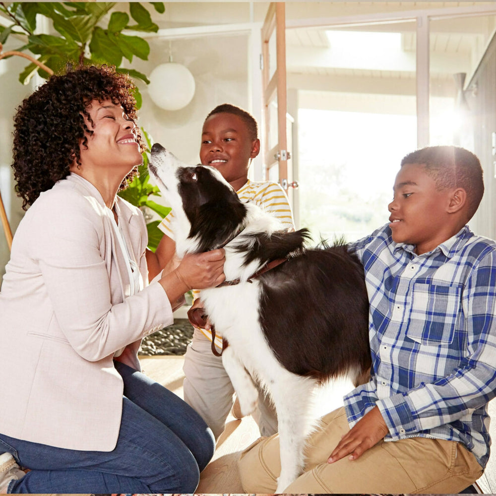 Filtrete electrostatic filter outperforms non-electrostatic alternatives.