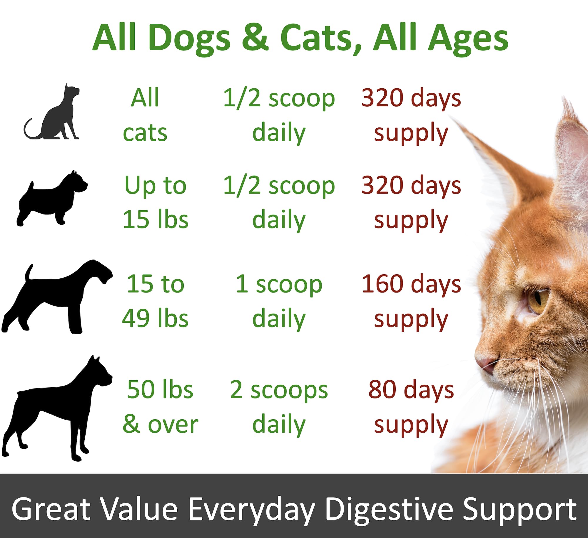 Finest For Pets TummyWorks serving a dog or cat with probiotic powder.