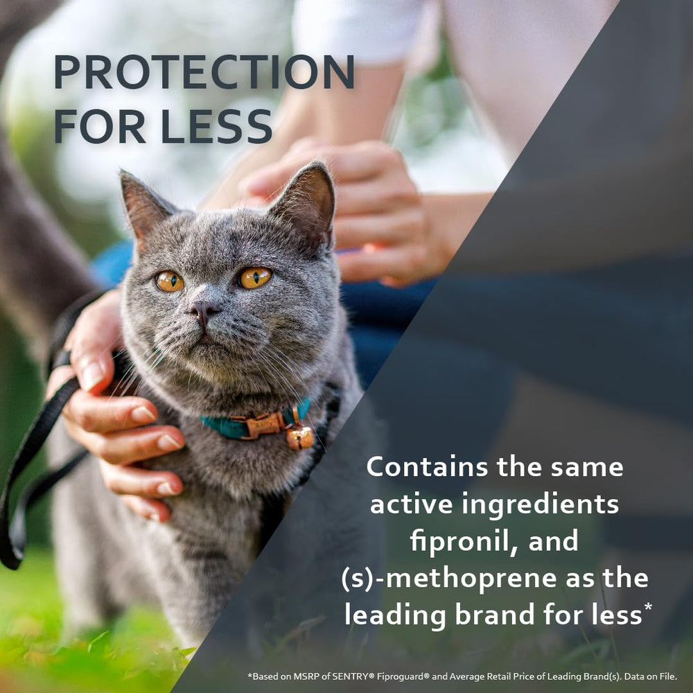 Six-month supply including six applicators for ongoing flea and tick prevention.