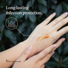 First Honey Manuka honey label from New Zealand highlighting medical-grade standards.
