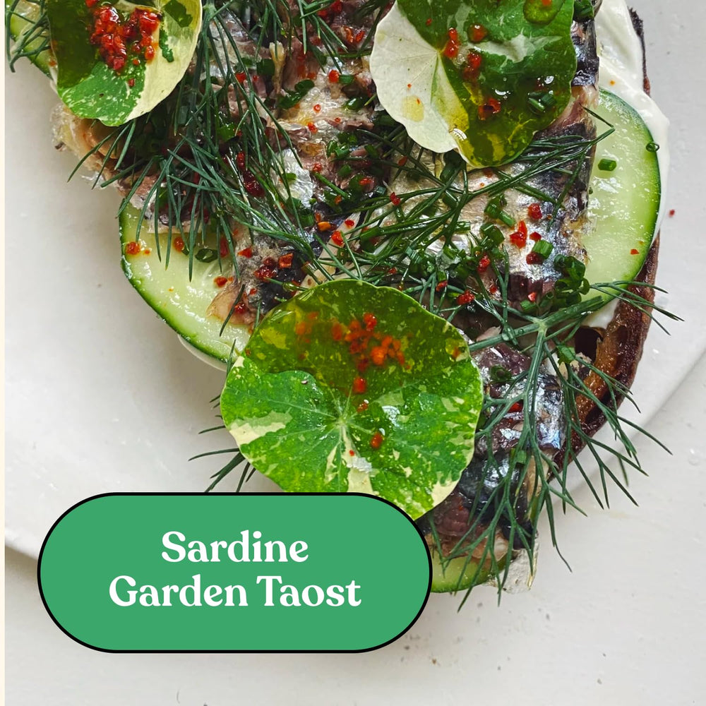 Sardines in olive oil from Fishwife, vibrant color and texture.