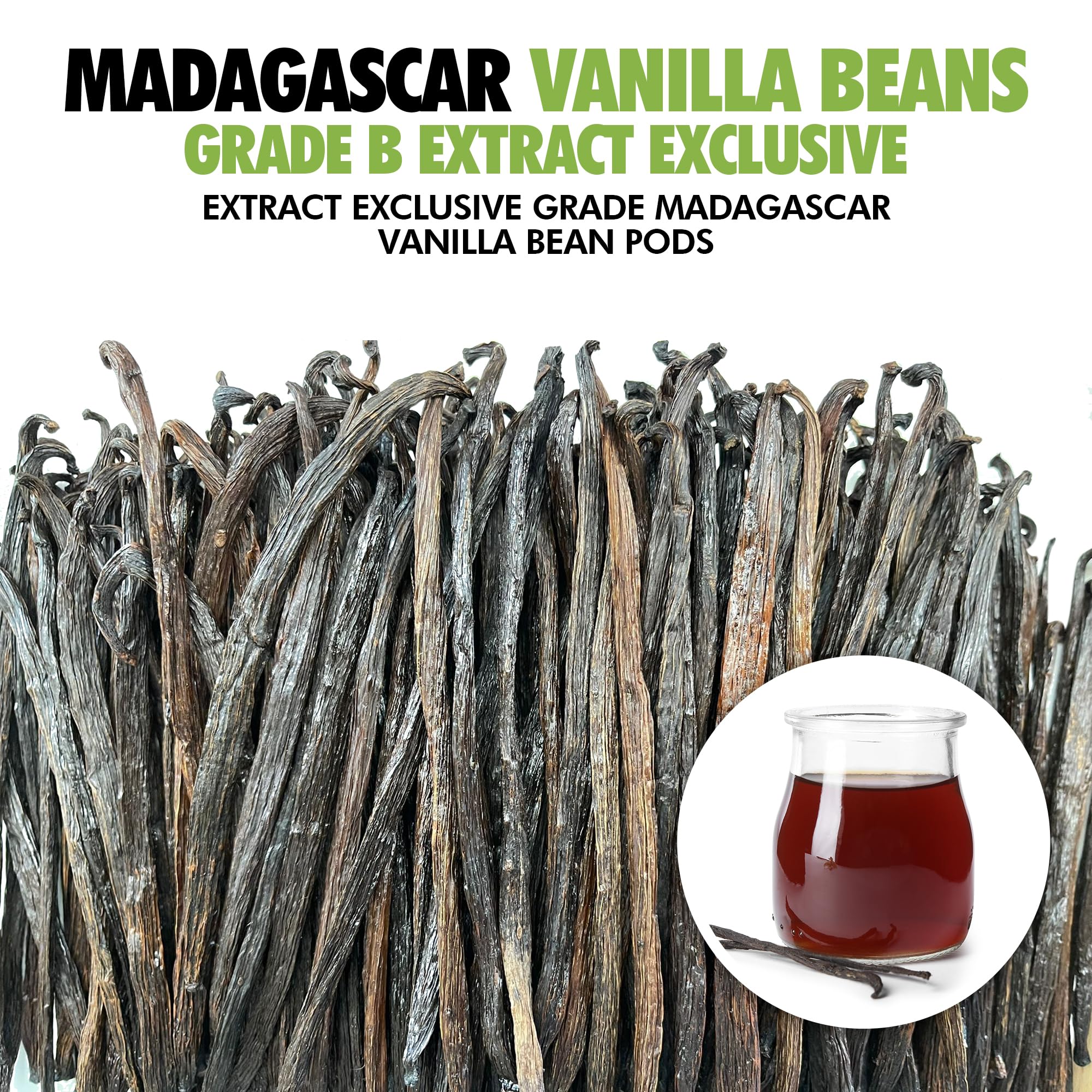 FITNCLEAN Grade B Madagascar beans offer richer aroma for extraction