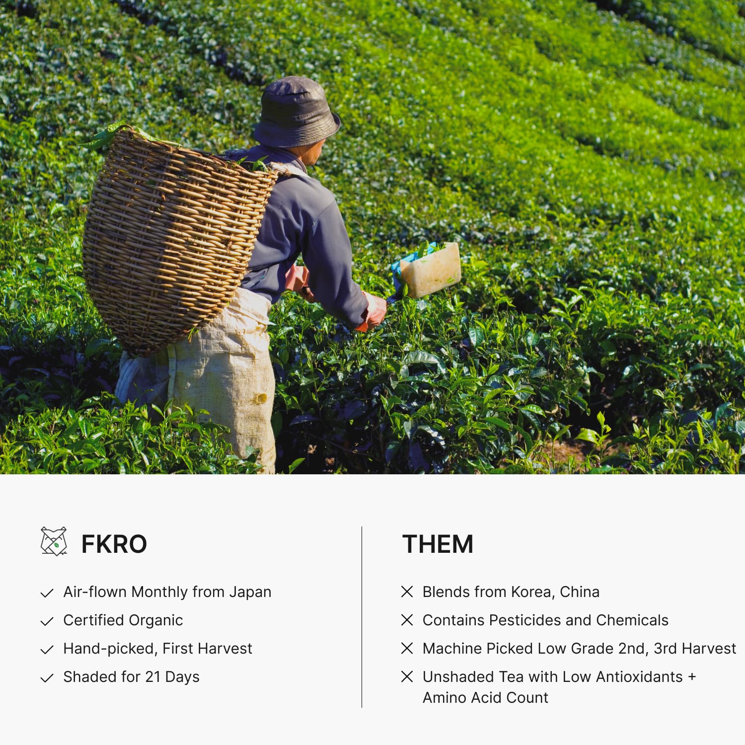 FKRO packaging on table communicates premium quality and freshness.
