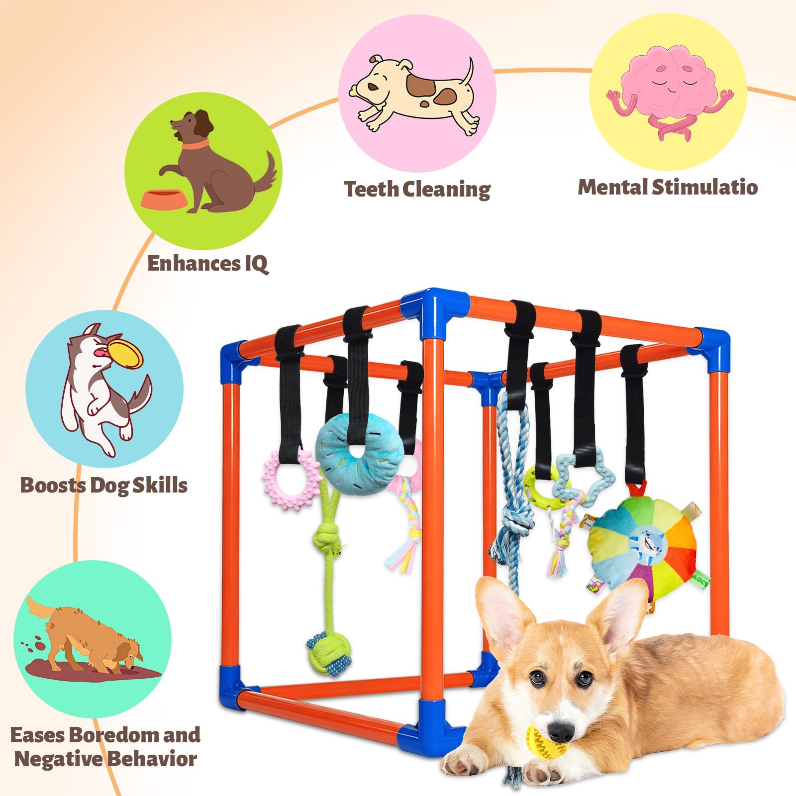 Flickzy Puppy Play Gym tool-free assembly ensures quick setup for busy homes.