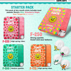 Flintts Mints compact travel size fits in pocket for on-the-go hydration.