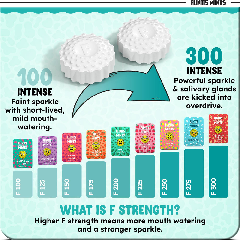 Flintts Mints vegan sugar-free formula supports mindful oral refreshment.