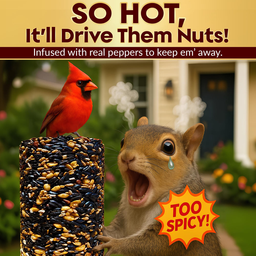 Flockin hot pepper bird seed cylinder USA made quality for dependable backyard feeding.