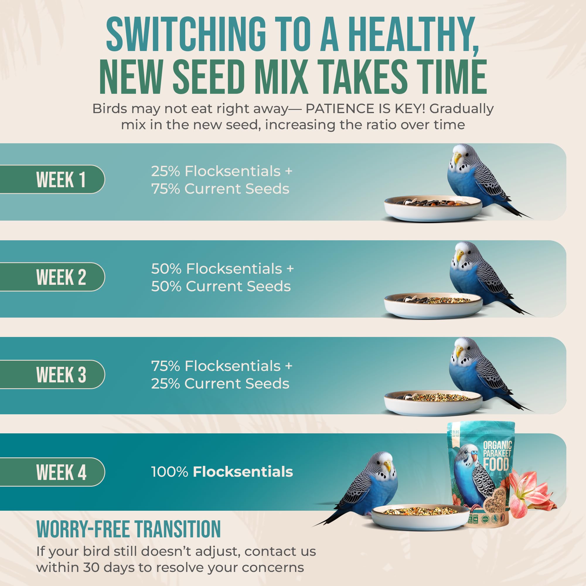 Measuring scoop illustrating portion control with Flocksentials parakeet food.