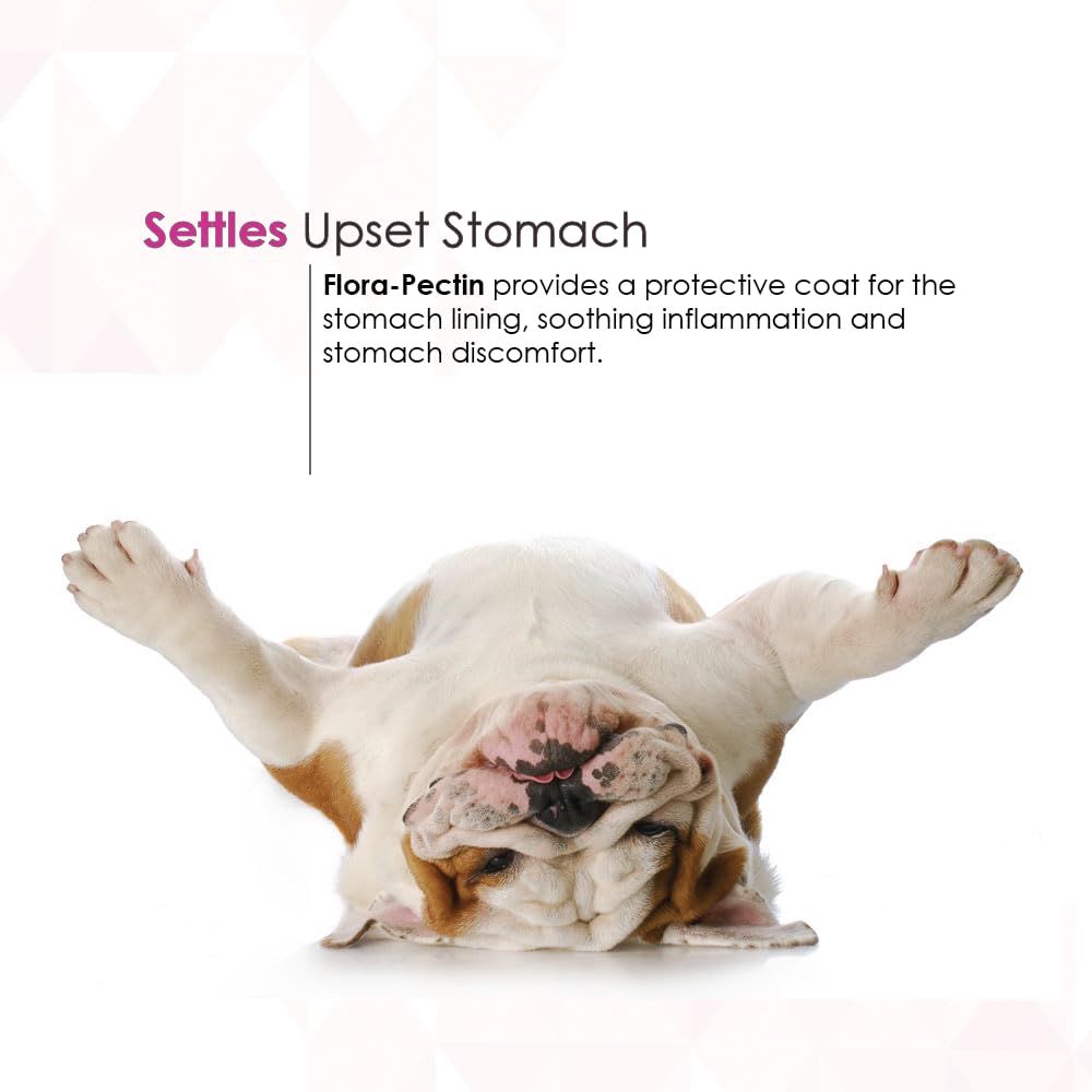 FLORA-PECTIN chicken-flavor icon highlights tasty option that helps pets accept the paste