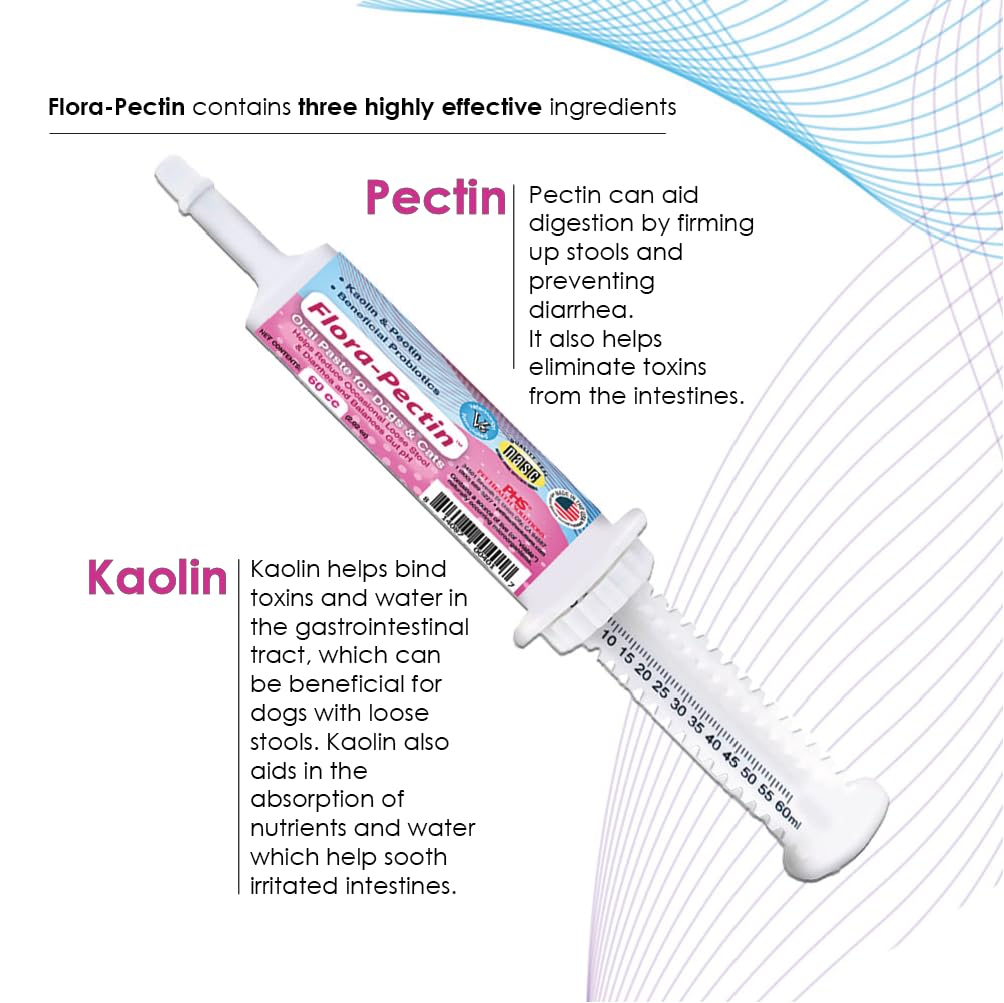 FLORA-PECTIN probiotic blend illustration emphasizes gut-supporting bacteria for balanced digestion