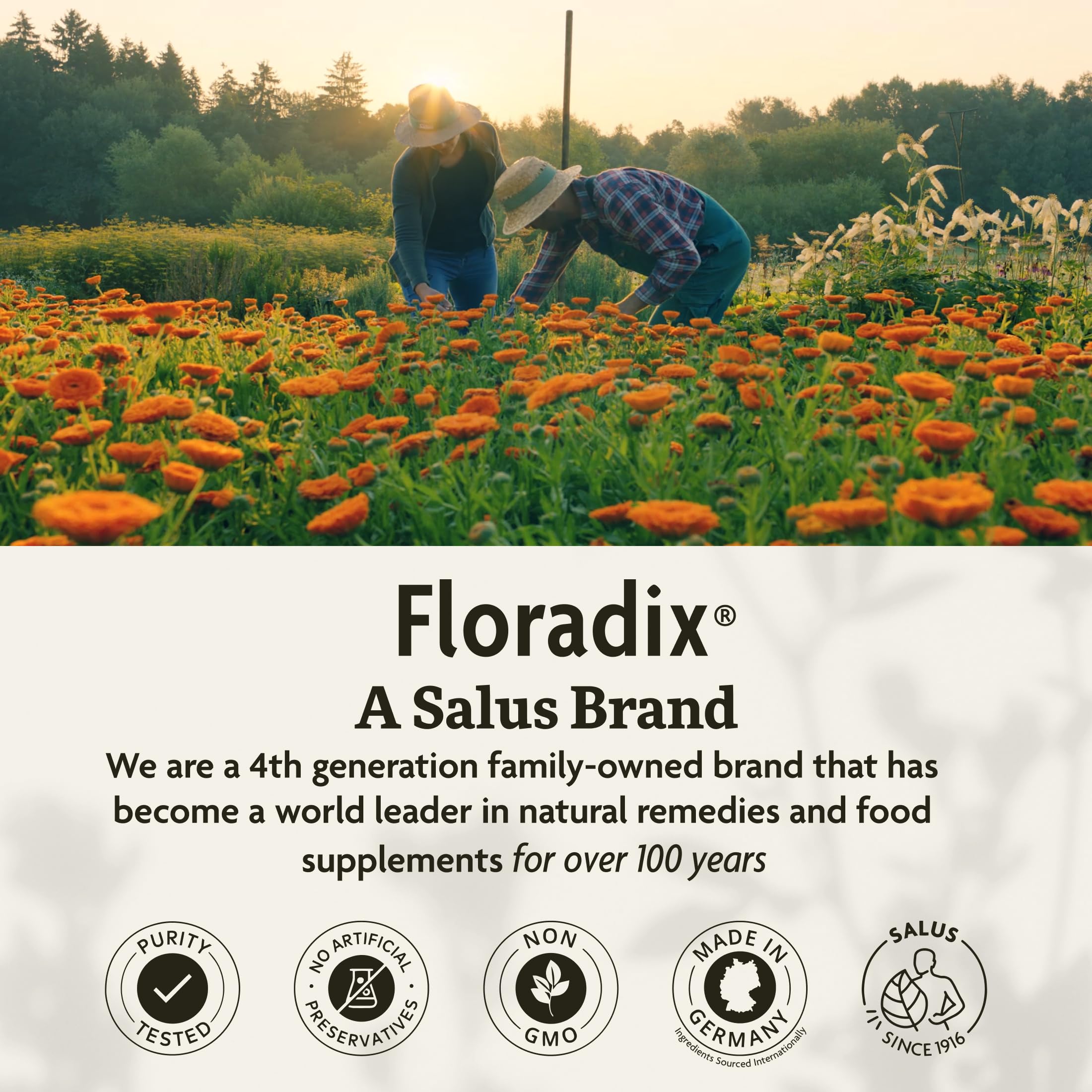 Floradix Floravital bottle on kitchen counter signals convenient daily supplementation.