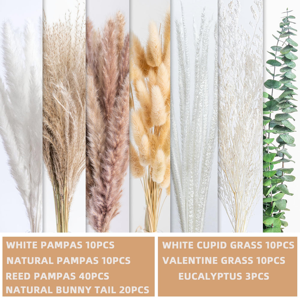 FloraDream eucalyptus branch closeup shows natural texture.