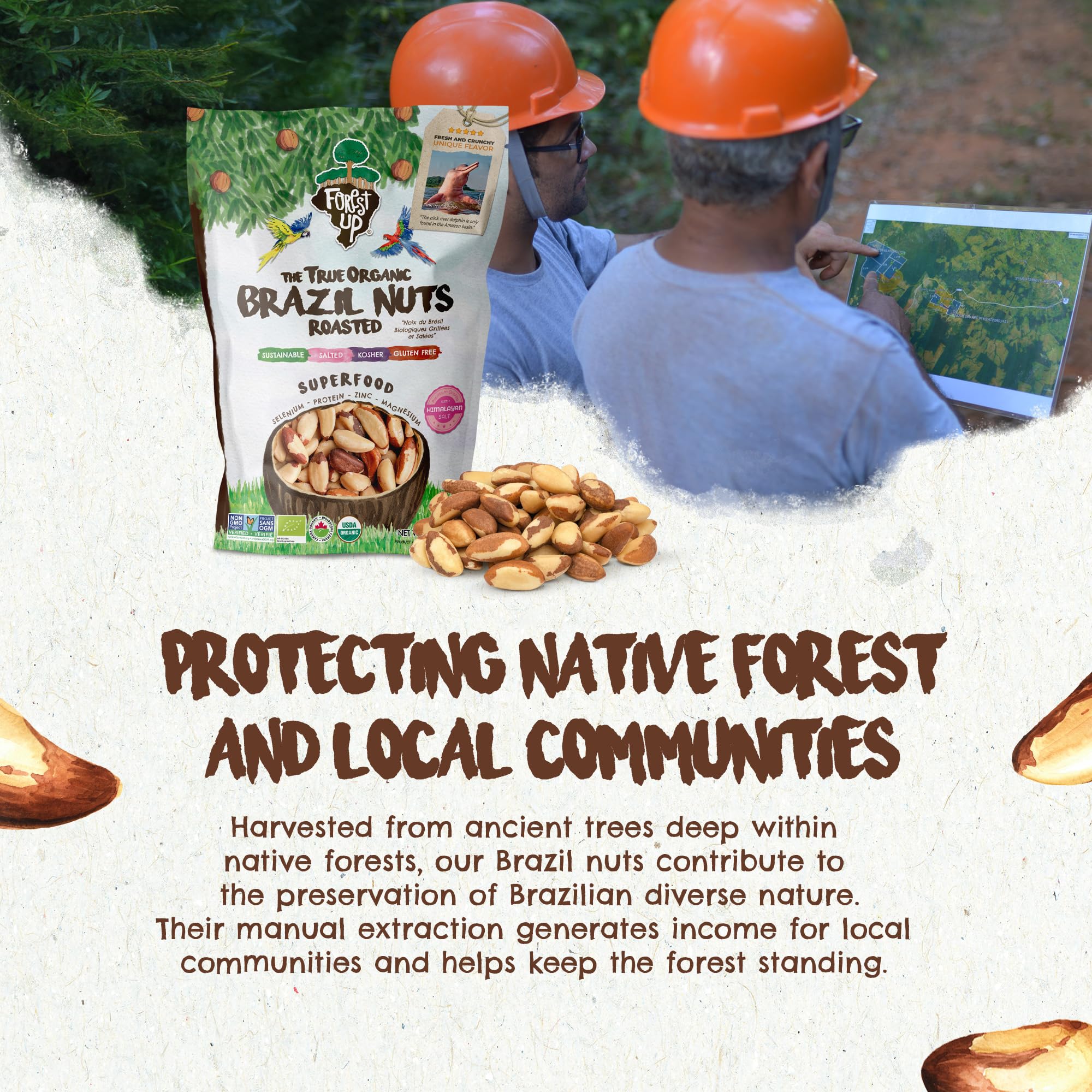 Floresta em Pé Brazil Nuts organic non-GMO kosher icons showcase quality.