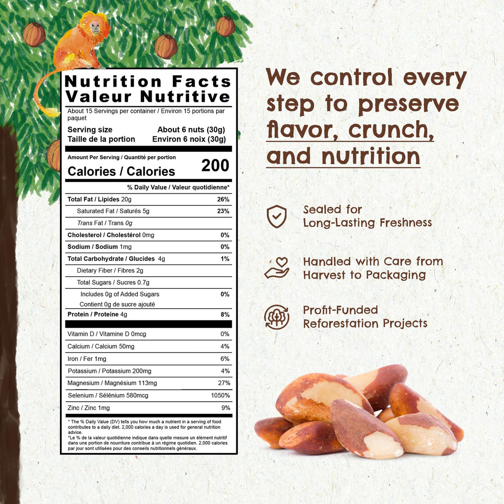 Floresta em Pé Brazil nuts raw unsalted, ideal for plant-based protein.