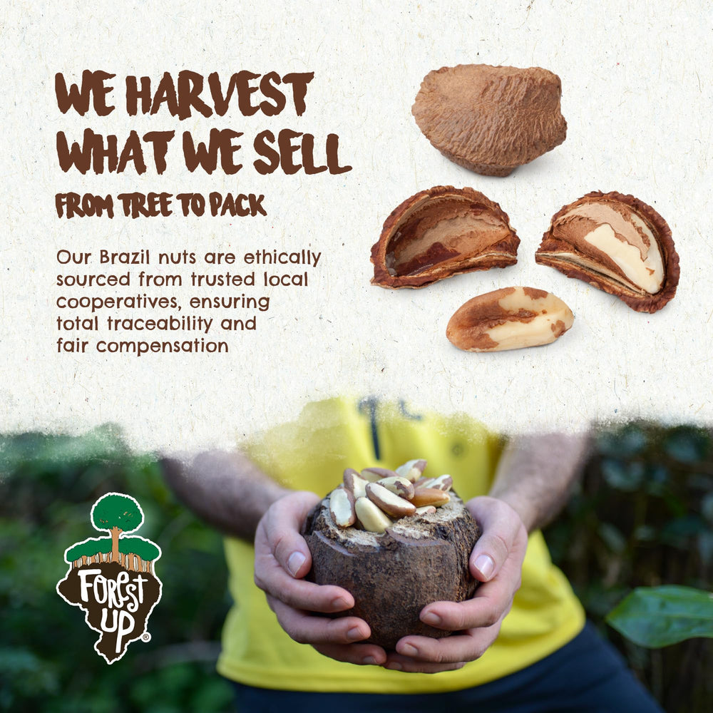 Floresta em Pé Brazil nuts vegan gluten-free, dairy-free and allergy-friendly.