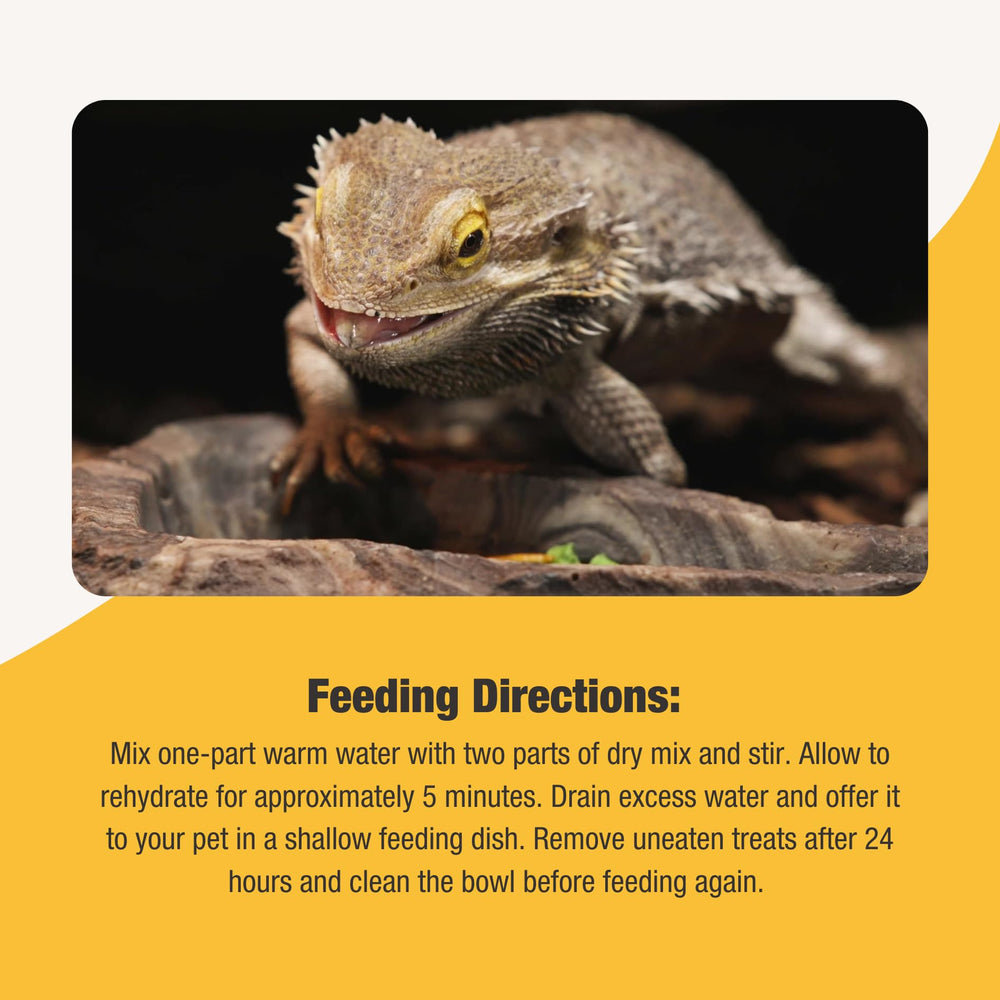 Insect protein components from Fluker's Grub Bag for reptile nutrition