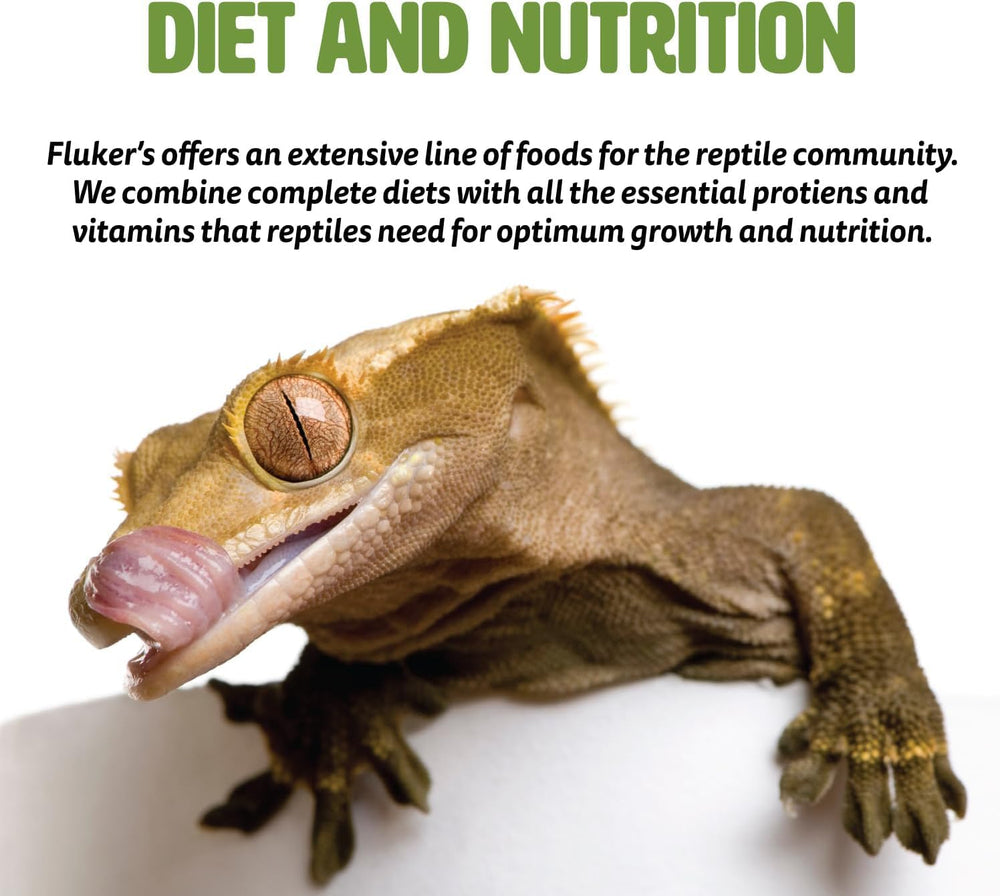 Reptile meal setup with Fluker's Grub Bag portions