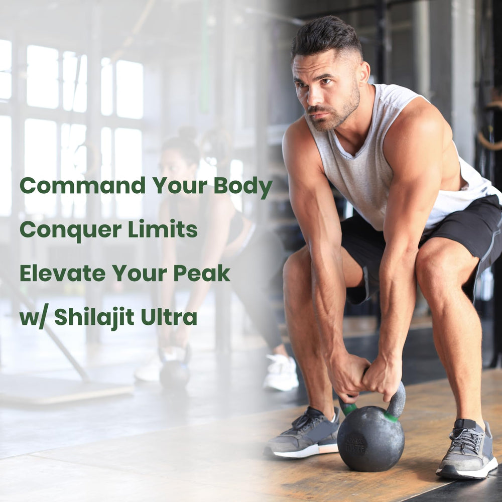 Flynew Shilajit outer packaging shows 60 capsules for a 30-day supply