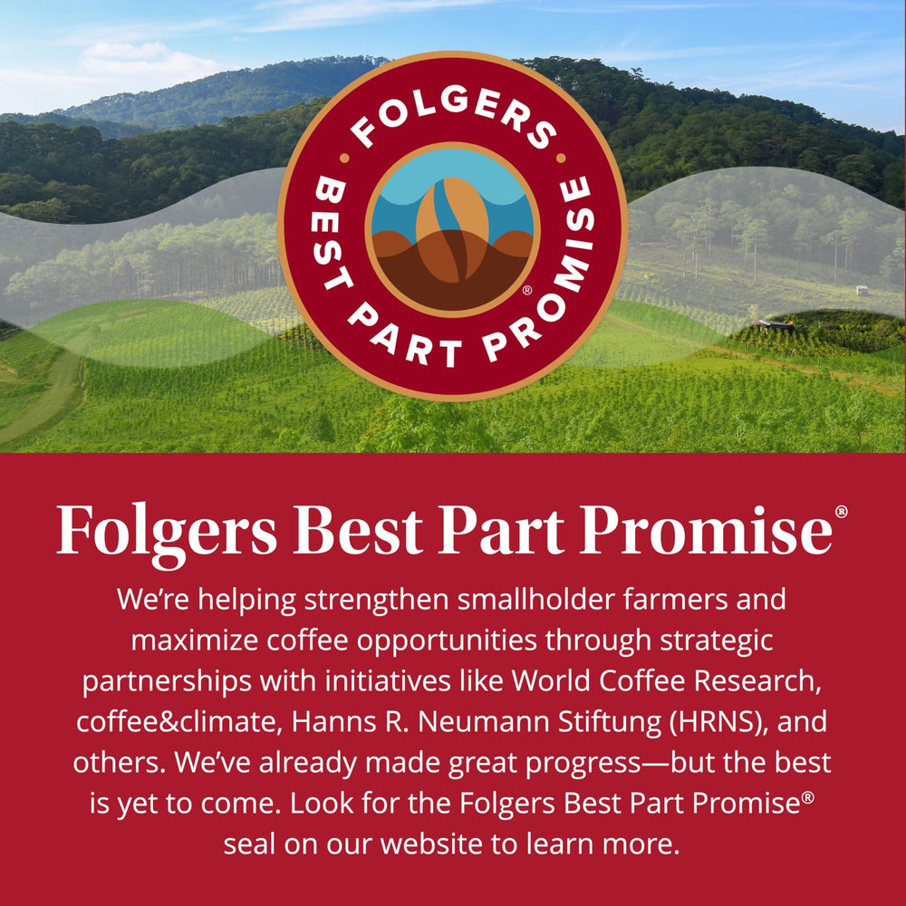 Folgers Classic Roast coffee beans closeup suggests rich flavor potential in each grind.