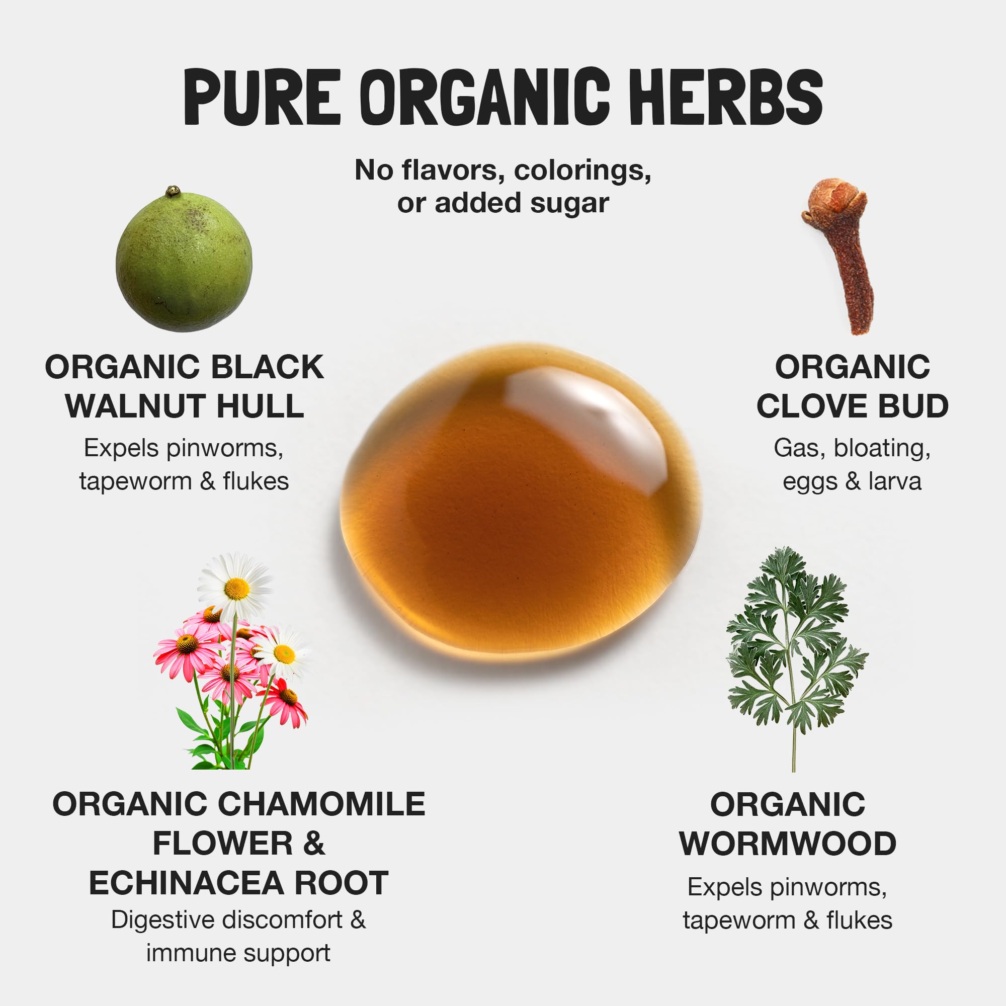 Food Over Drugs Organic Wormwood herb close-up hints natural herbal support