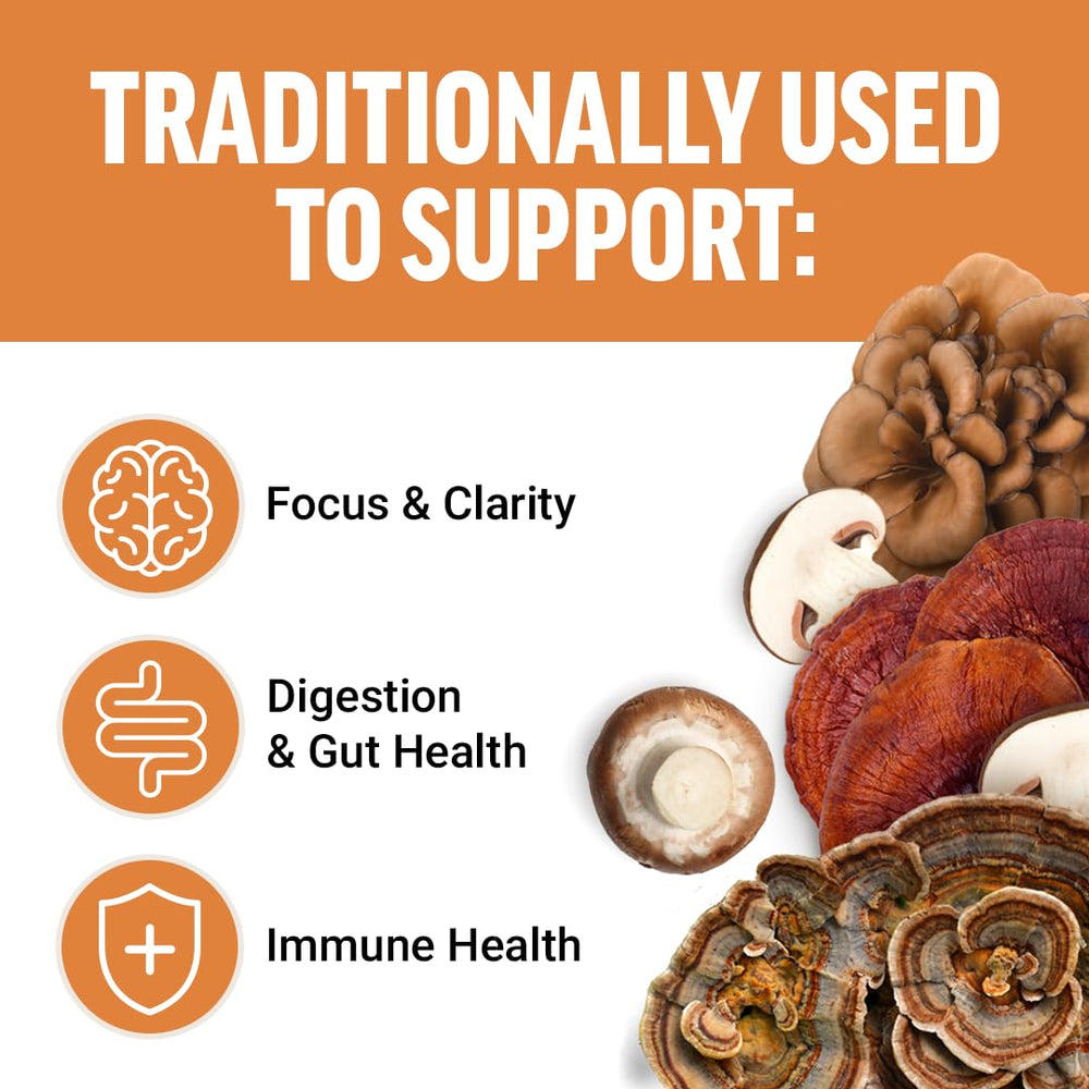 Force Factor Modern Mushrooms label close-up highlighting seven-mushroom blend for focus support.