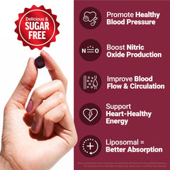 Force Factor Total Beets Gummies closeup showing berry flavor for daily wellness.