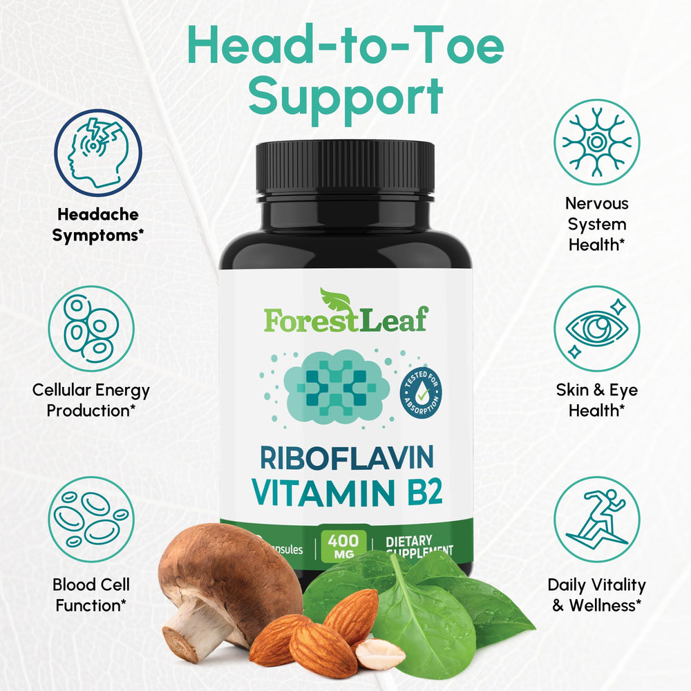 ForestLeaf B2 capsules close-up highlighting vegetarian, non-GMO formula for steady vitality.