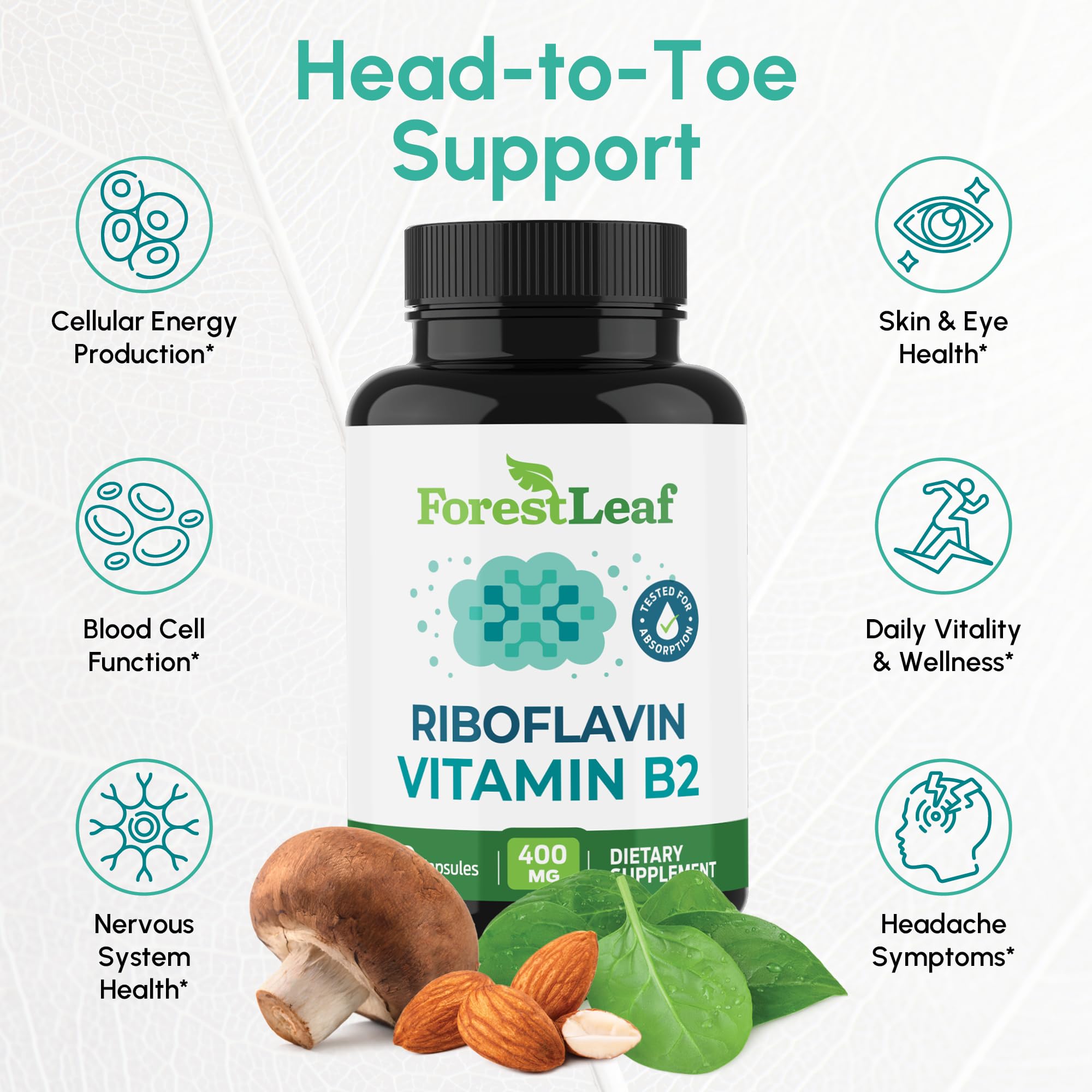 ForestLeaf B2 riboflavin 400mg capsule focuses on energy metabolism for daily activity.