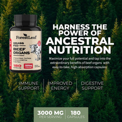 ForestLeaf Beef Organ Supplement liver capsules ready for daily vitality and nourishment