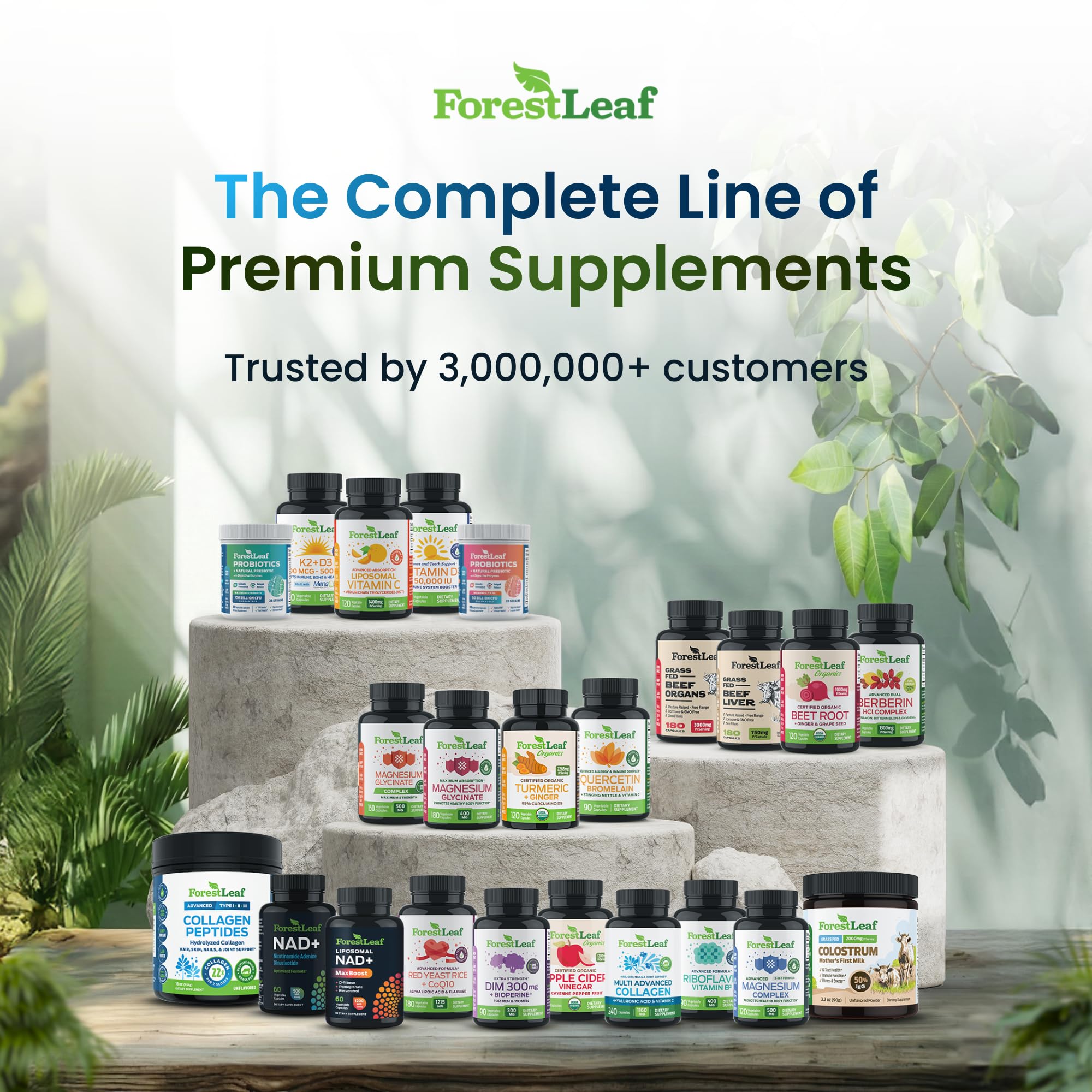 ForestLeaf daily-use pill scene demonstrates simple integration into morning routines.
