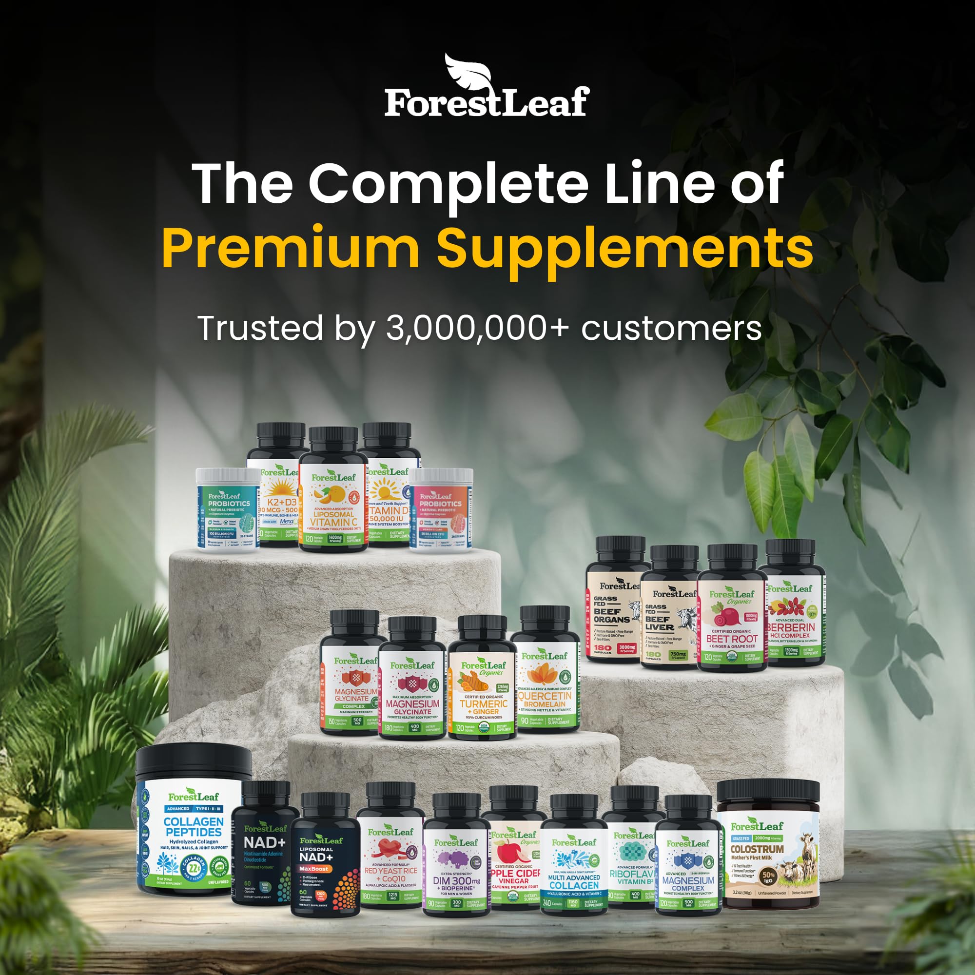 ForestLeaf Creatine is non-GMO, dairy-free, gluten-free, vegetarian-friendly.