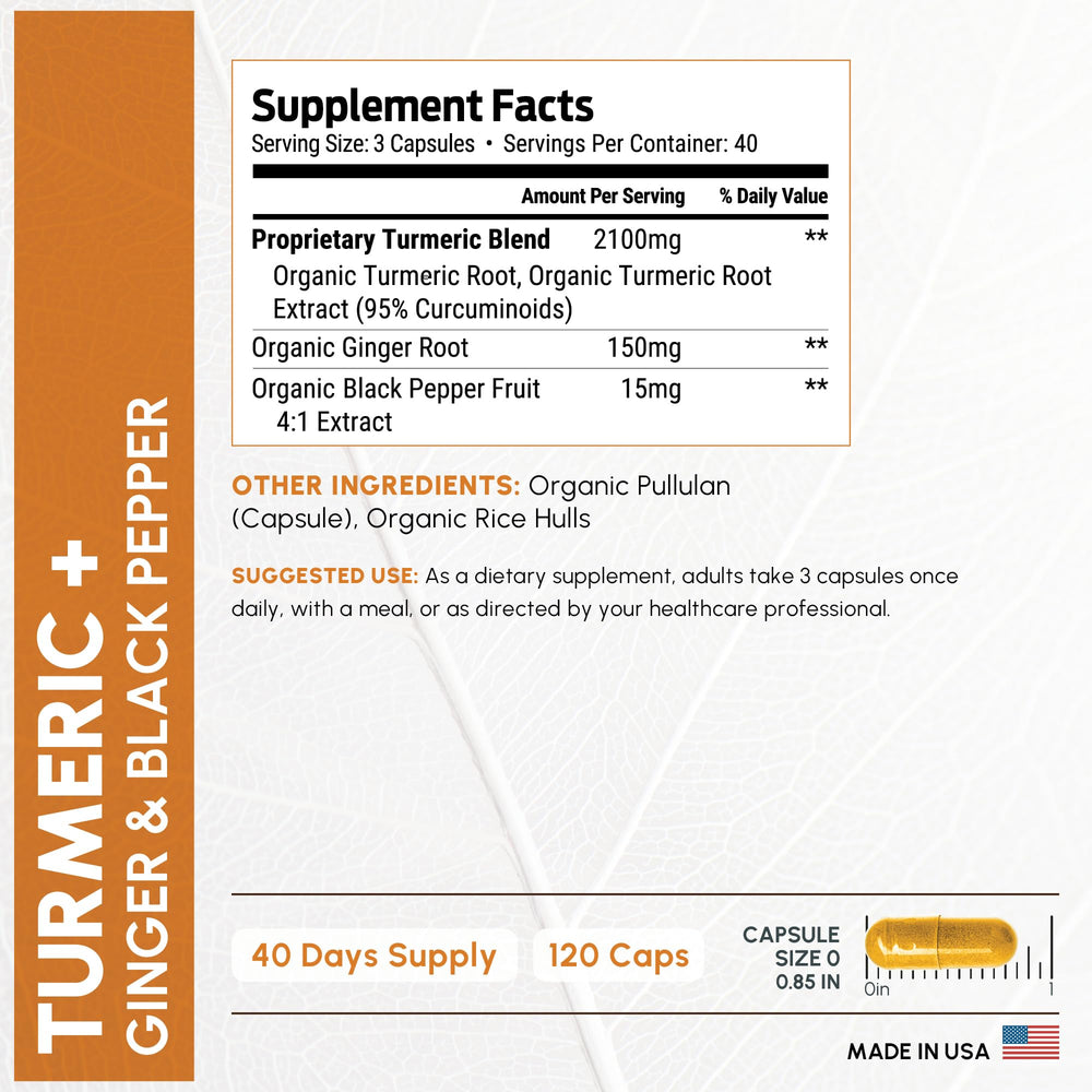 ForestLeaf ginger root detail showcasing natural energizing root.