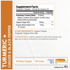 ForestLeaf ginger root detail showcasing natural energizing root.