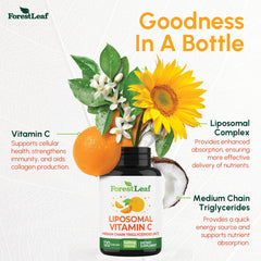 ForestLeaf liposomal Vitamin C ingredients featuring MCT oil and sunflower lecithin