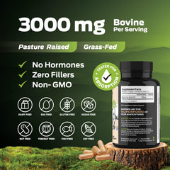 ForestLeaf organ meats capsule collection showcases five nutrients per serving.