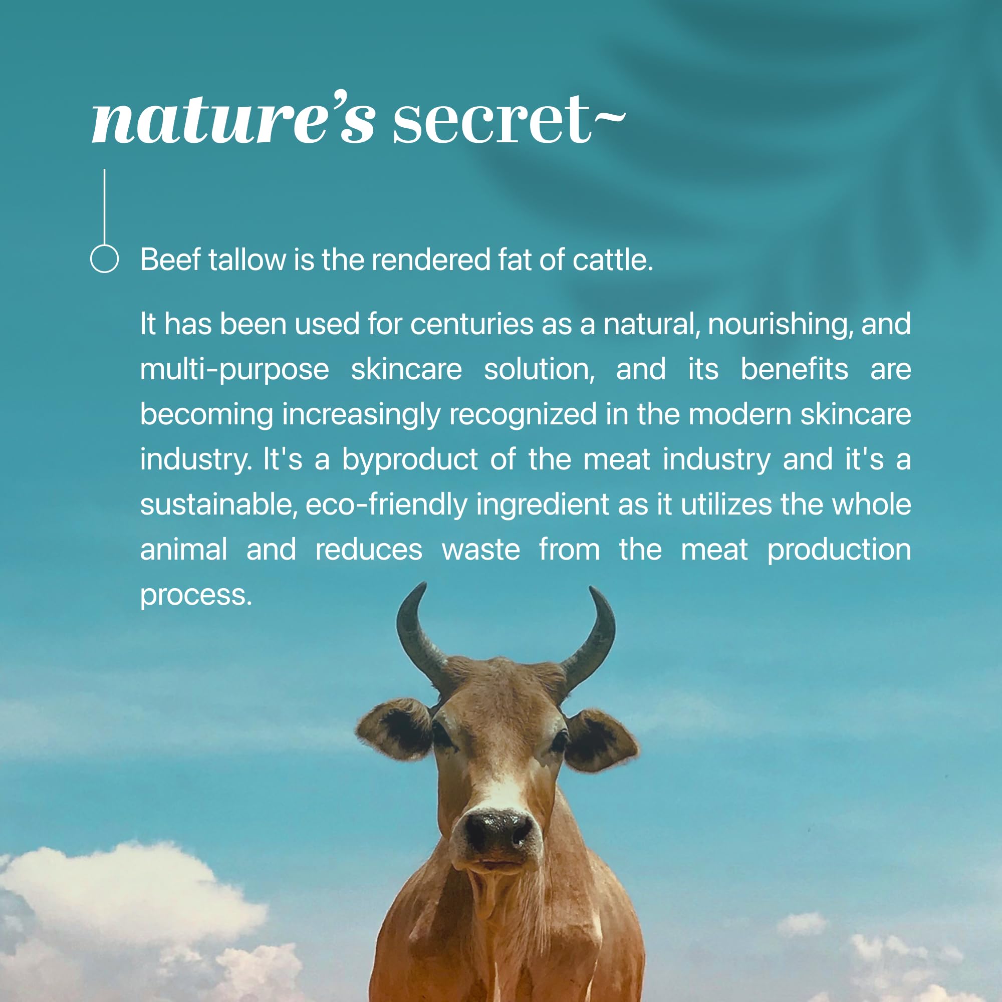 Ingredient focus: beef tallow, honey extract, olive oil for nourished skin.