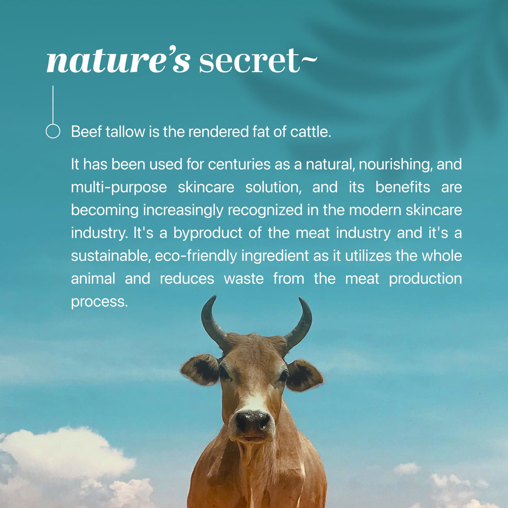 Ingredient focus: beef tallow, honey extract, olive oil for nourished skin.