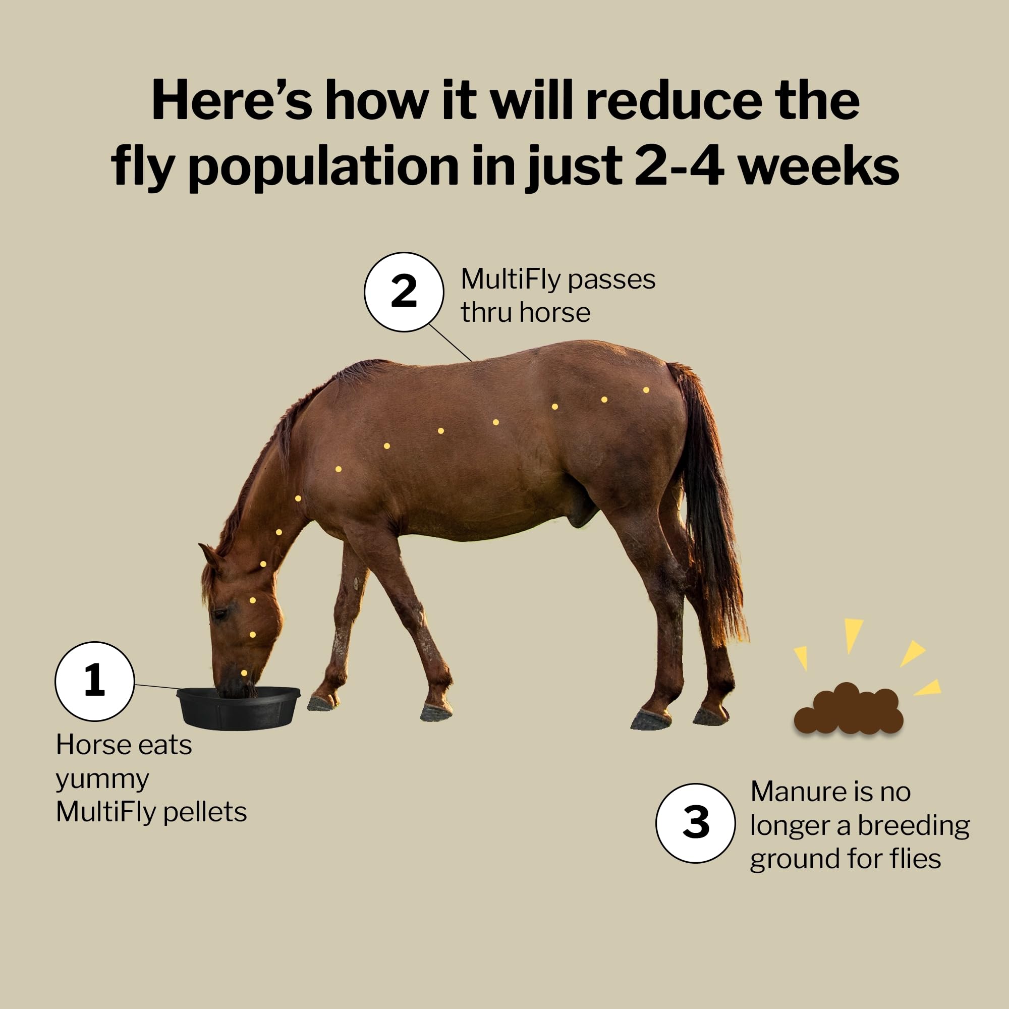 Formula 707 MultiFly horses feeding scene showing palatable daily pellets.