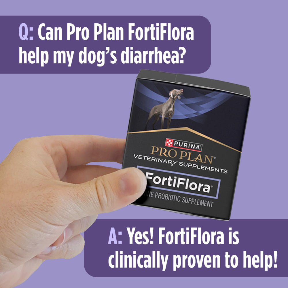 Purina FortiFlora reduces gas and supports comfortable digestion in dogs.