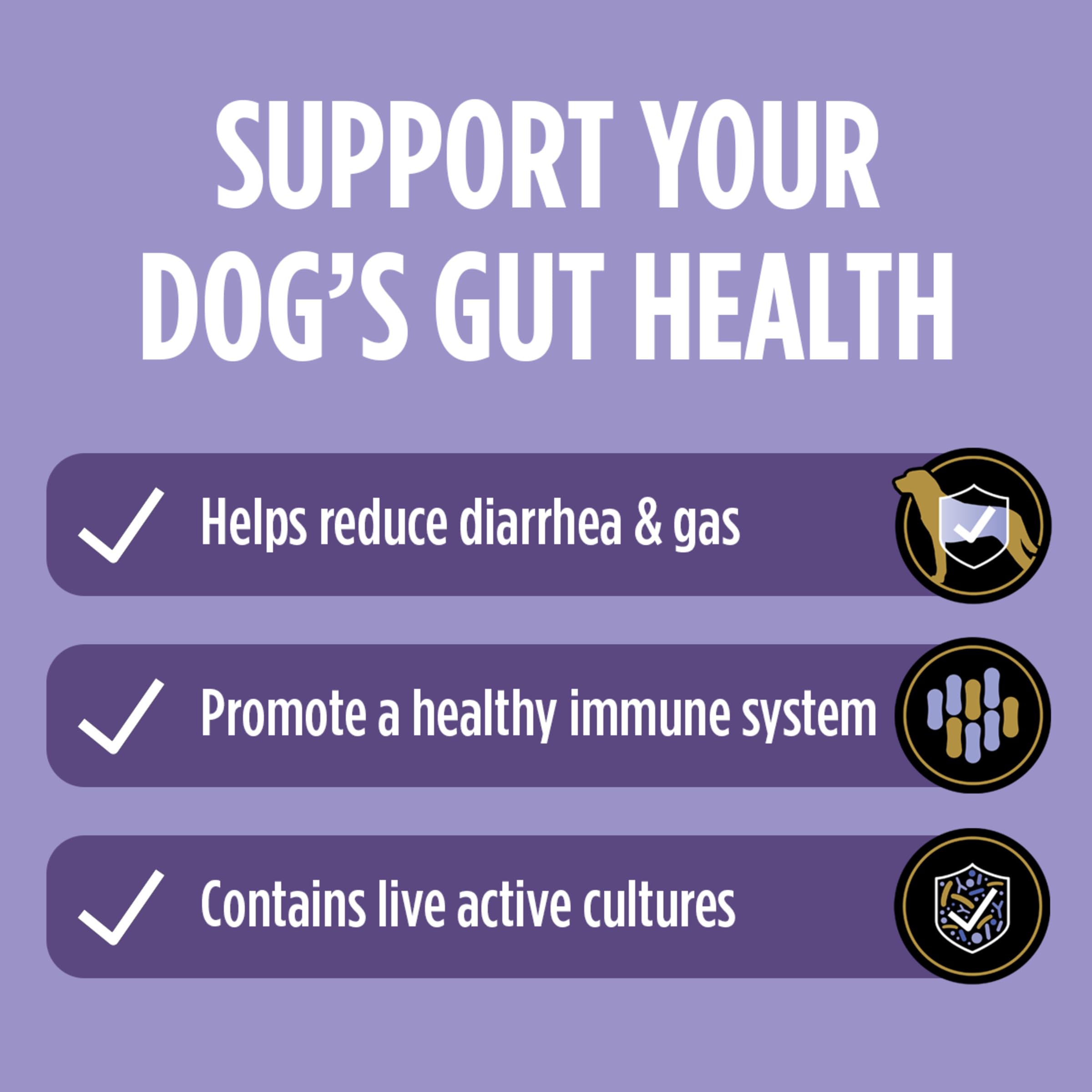 FortiFlora dog digestive health support powder blends easily with regular food.