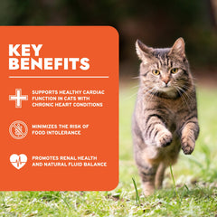 Forza10 non-GMO label highlights clean ingredients for health-minded cat owners.