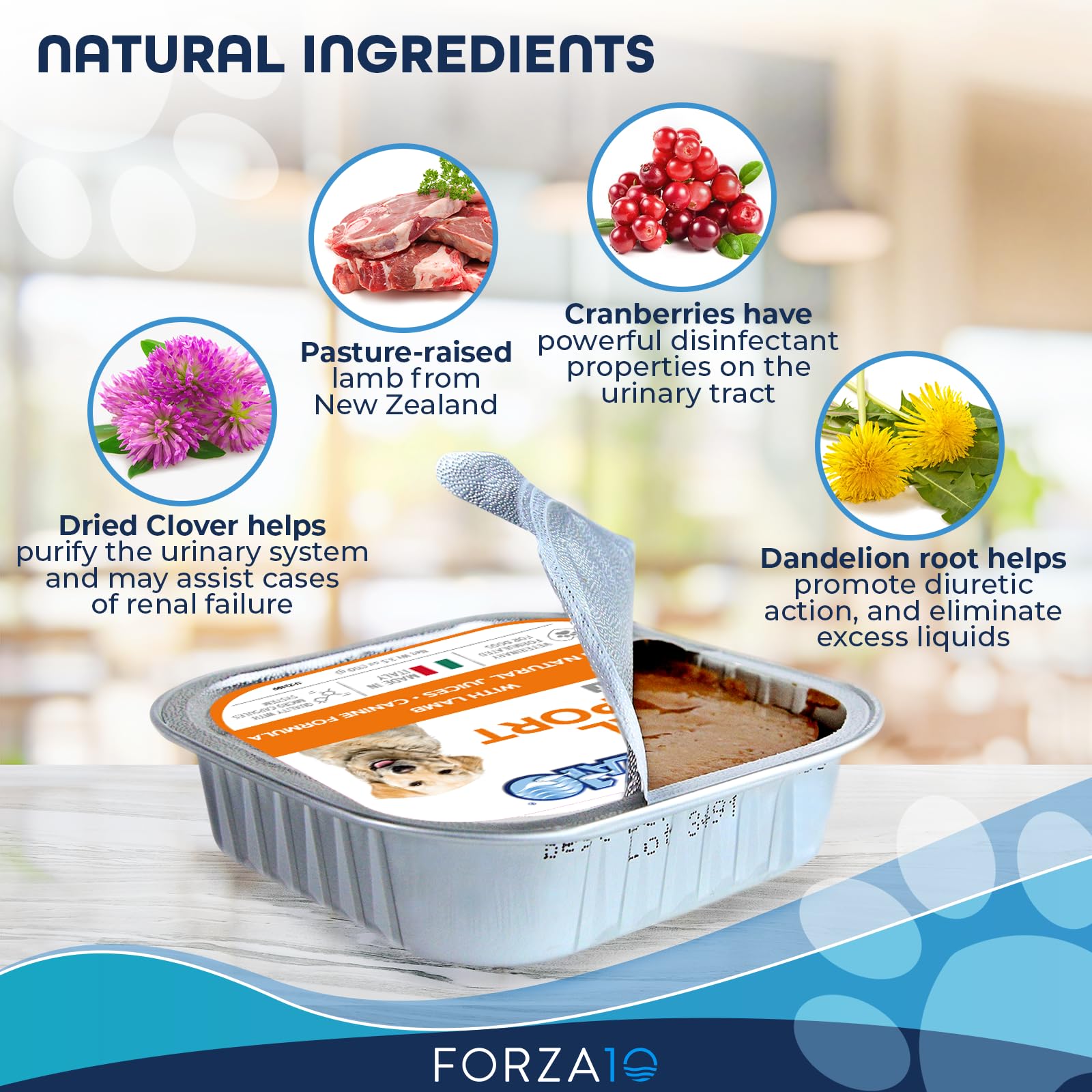 Forza10 12-can pack featuring Italian veterinary-inspired nutrition.
