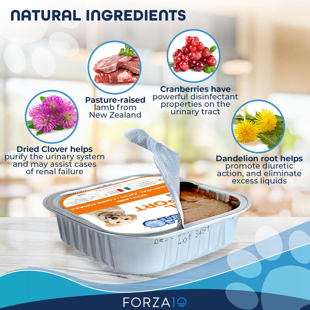 Forza10 12-can pack featuring Italian veterinary-inspired nutrition.