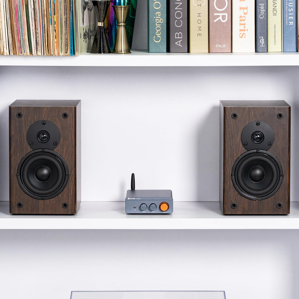 Fosi Audio BT20A Pro package contents with manual and accessories.