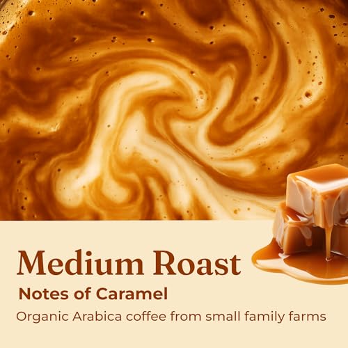 Four Sigmatic Balance chaga mushroom close-up highlighting antioxidant-rich notes